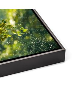 un tableau photo Plexiglas et Forex représentant des feuillages verts est encadré dans une caisse américaine en bois noir