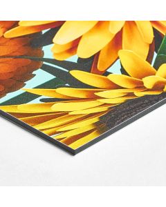 Vue zoomée sur le coin d'une photo imprimée directement sur une plaque d'aluminium dibond et représentant des fleurs jaunes