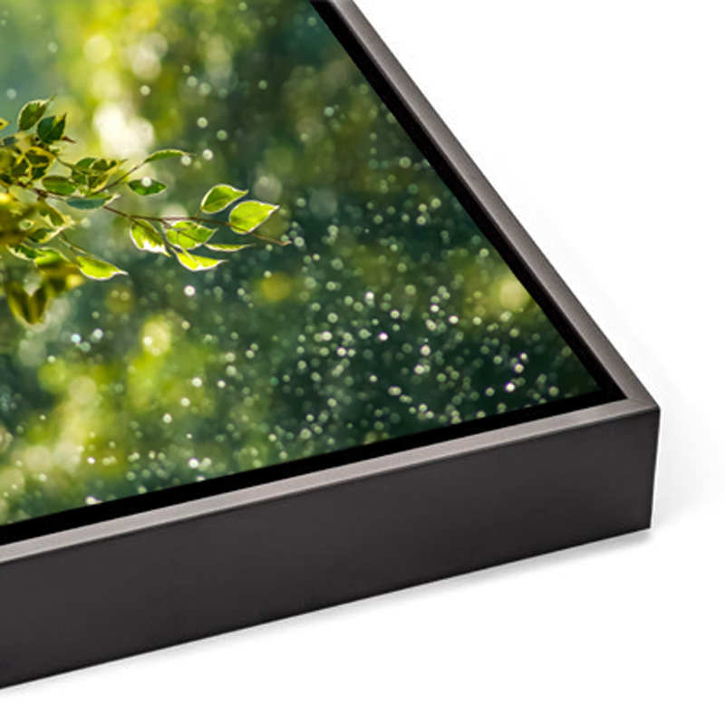 un tableau photo Plexiglas et Forex représentant des feuillages verts est encadré dans une caisse américaine en bois noir