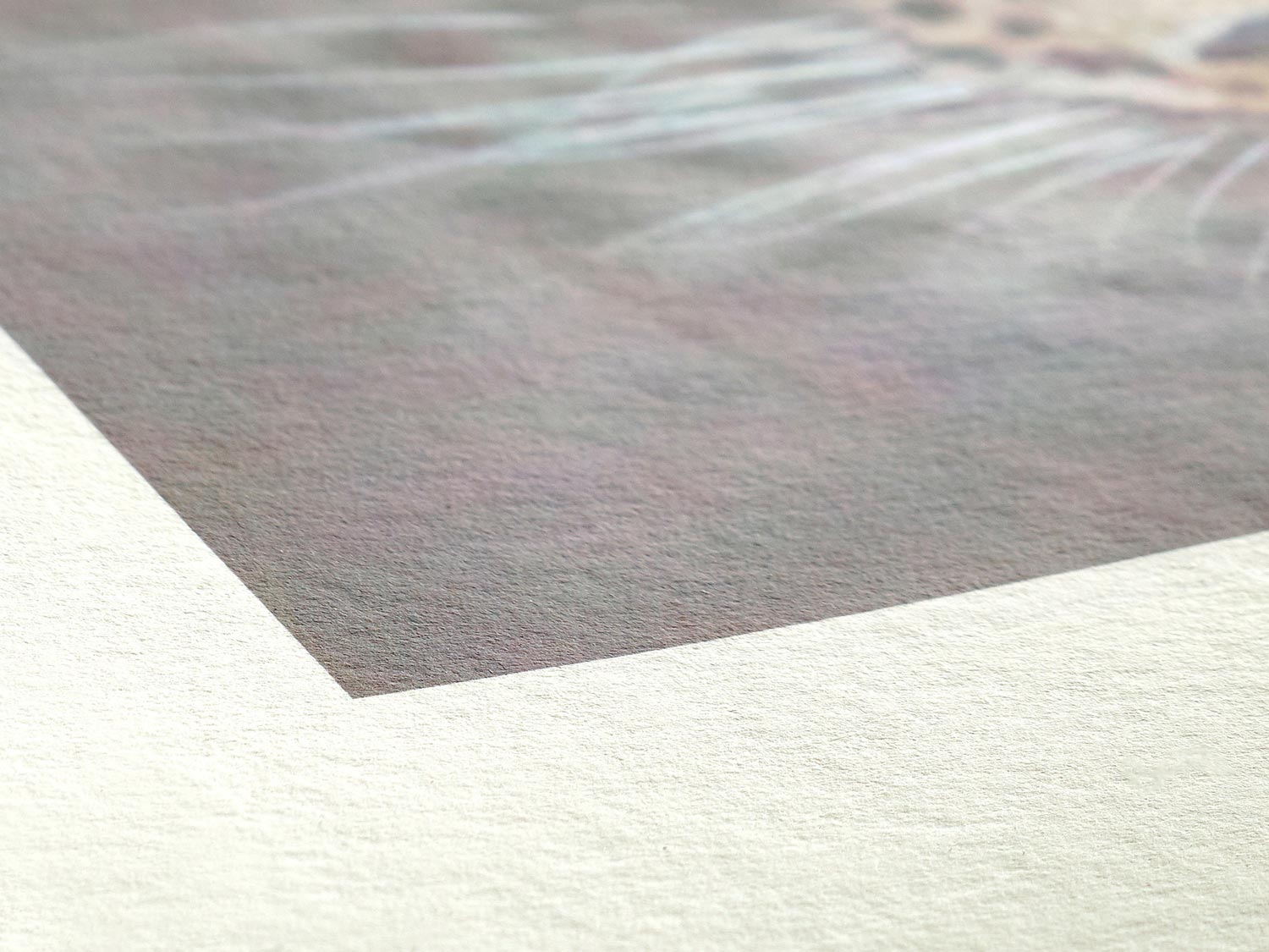 Vue zoomée sur le coin blanc d'un tirage photo fine art sur papier d'art mat Hahnemühle Bamboo 290 g/m²