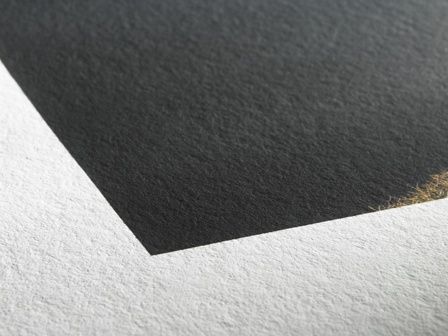 Vue zoomée sur le coin blanc d'un tirage photo fine art sur papier d'art mat Hahnemühle Photo Rag Bright White 310 g/m²